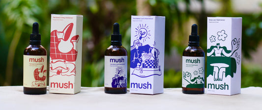How to choose the right mushroom extract for you
