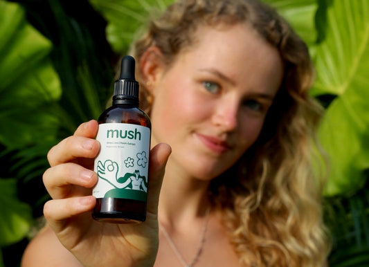 The benefits of taking multiple mushroom extracts