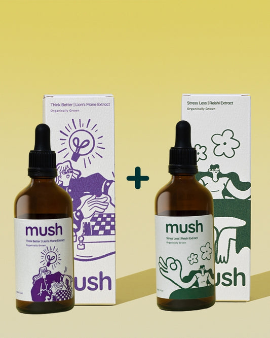 Anxiety Support Bundle | Lions Mane + Reishi