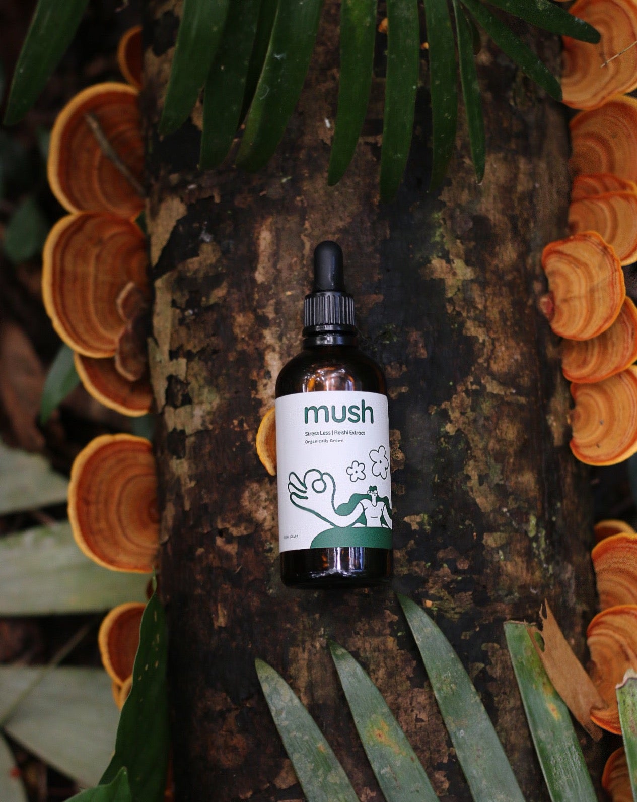 Reishi Extract
