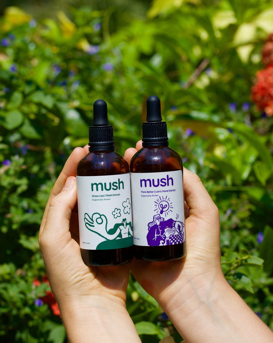 Anxiety Support Bundle | Lions Mane + Reishi