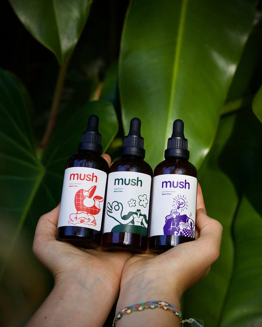 3 Pack Extract Bundle