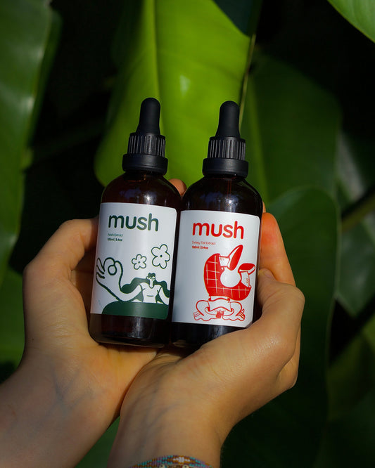 Longevity Bundle | Turkey Tail + Reishi