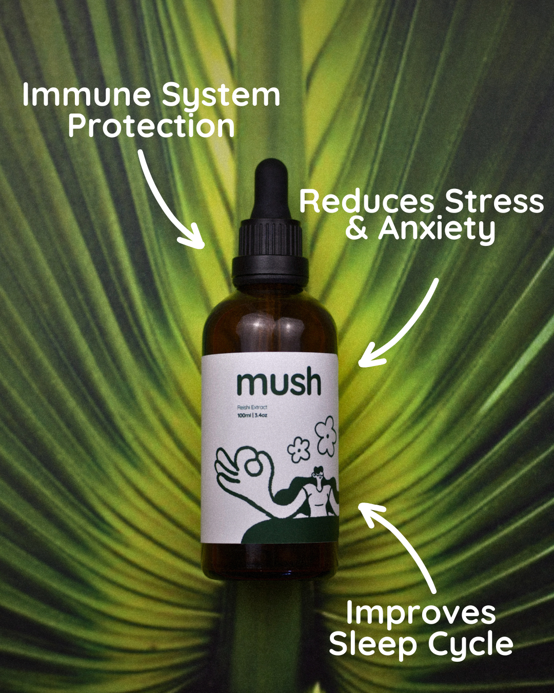 Longevity Bundle | Turkey Tail + Reishi