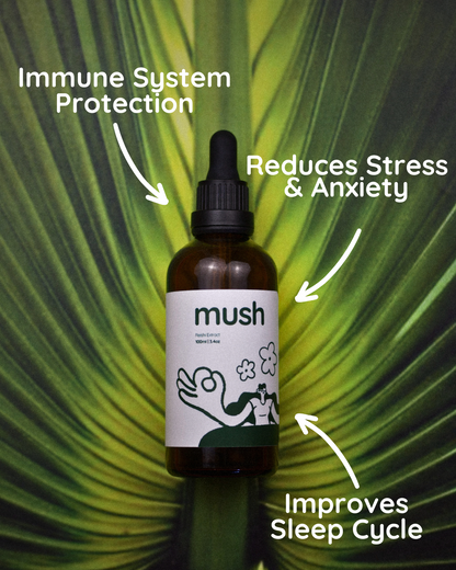 Longevity Bundle | Turkey Tail + Reishi