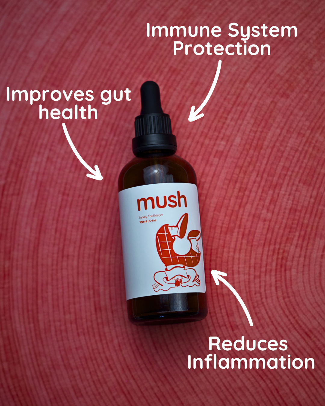 Longevity Bundle | Turkey Tail + Reishi