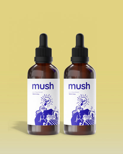 Think Better Bundle | Lions Mane Dual Extracts