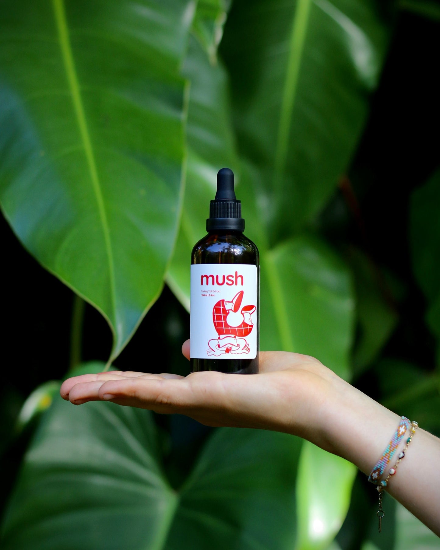 Feel Good Turkey Tail Extract