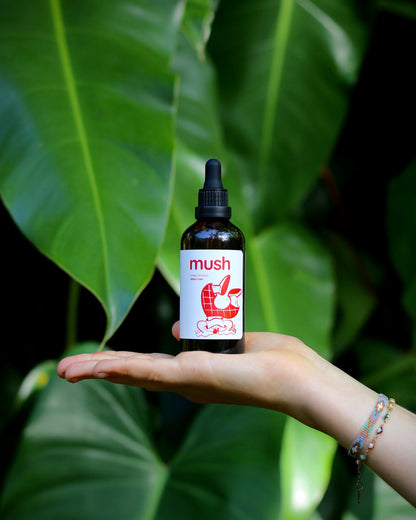 Feel Good Turkey Tail Extract